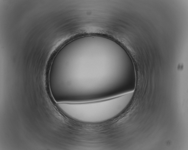 X0000091570391200708200956