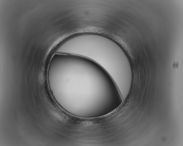 X0000091570392200708200956