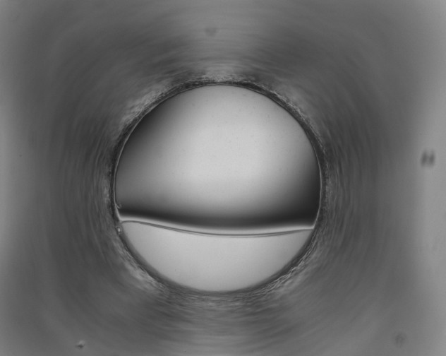 X0000091570393200708200956