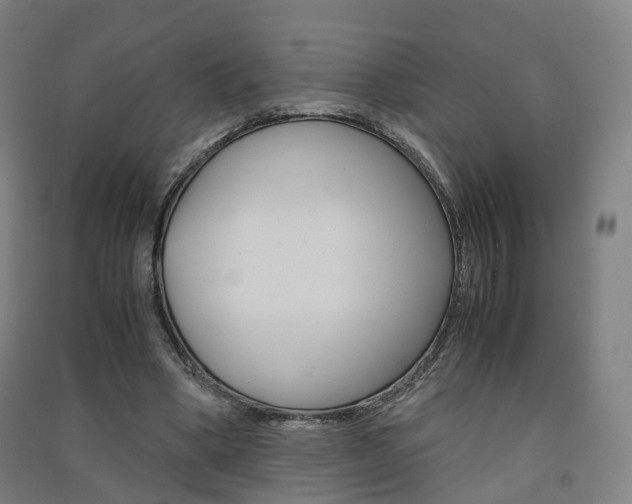 X0000091570394200708200955