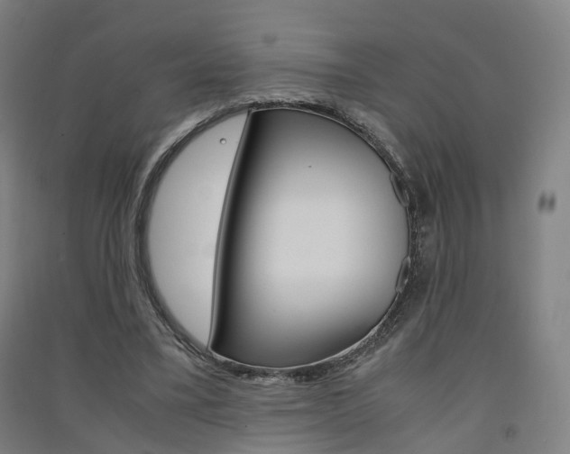 X0000091570395200708200955
