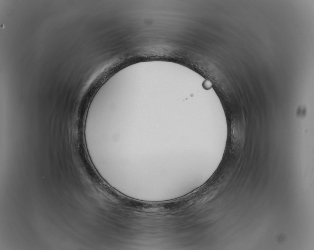 X0000091570396200708200955