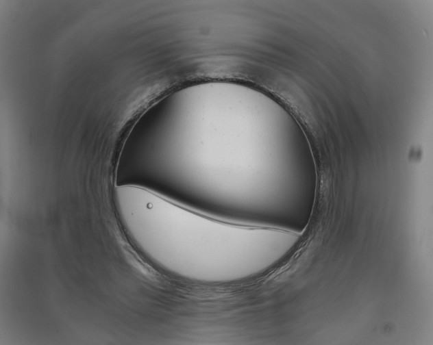 X0000091570397200708200955