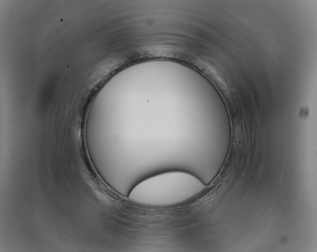 X0000091570398200708200955