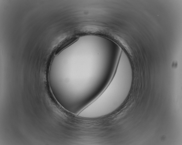 X0000091570399200708200955