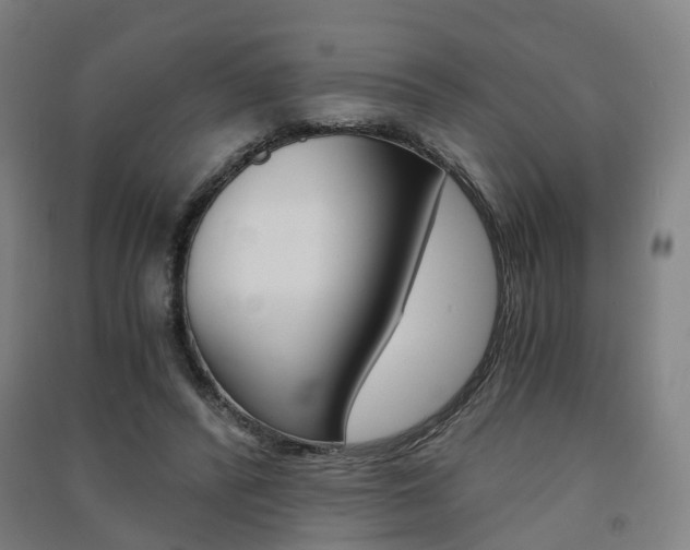 X0000091570400200708200955