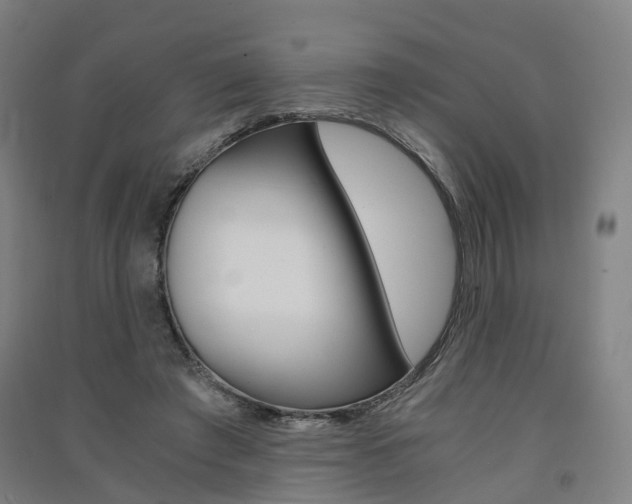 X0000091570401200708200955