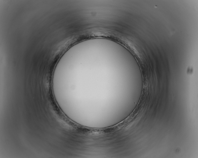 X0000091570402200708200955