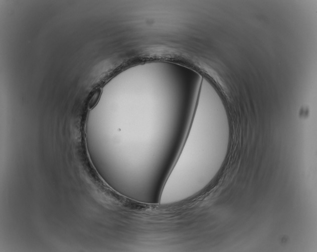 X0000091570403200708200955