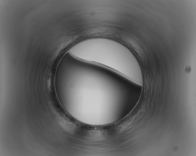 X0000091570404200708200955