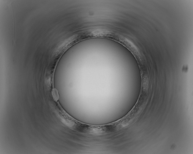 X0000091570405200708200955
