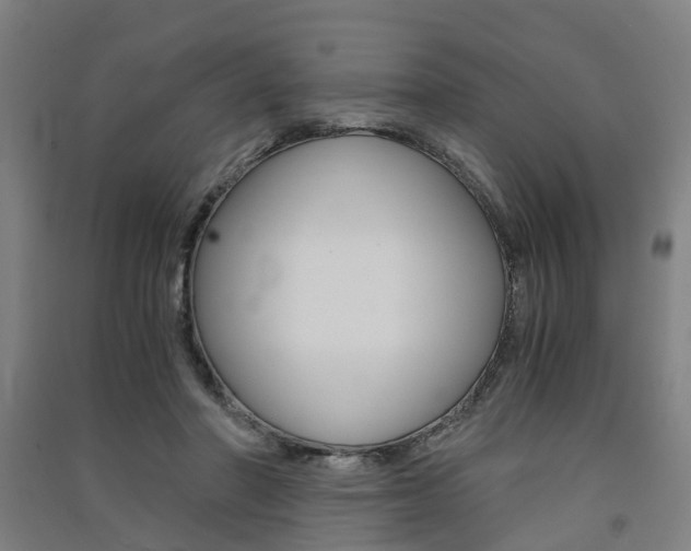 X0000091570406200708200955