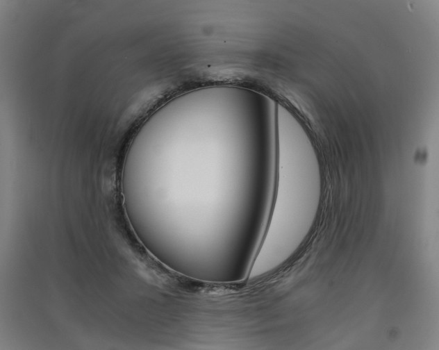 X0000091570407200708200955