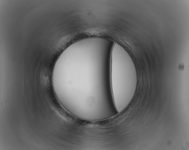X0000091570408200708200955