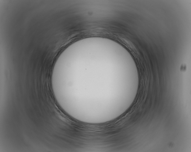 X0000091570409200708200955