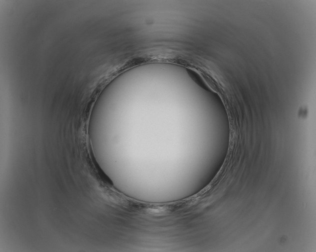 X0000091570411200708200955