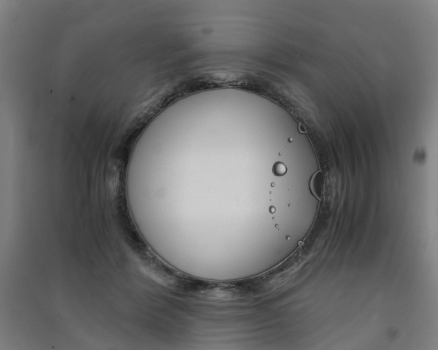 X0000091570412200708200955