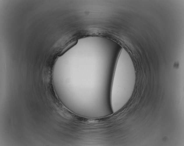 X0000091570413200708200955