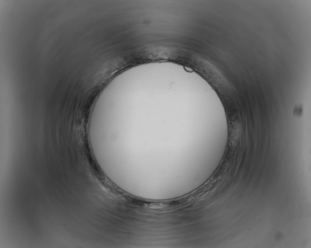 X0000091570414200708200955