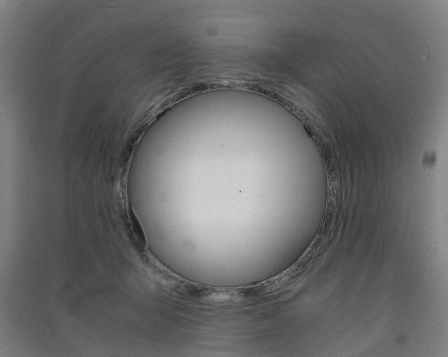 X0000091570415200708200955