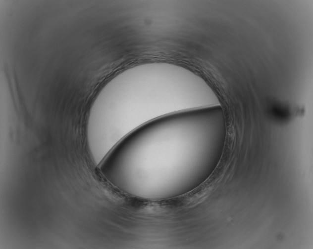 X0000091570416200708200955