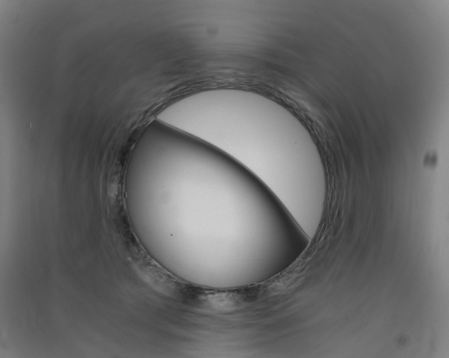 X0000091570417200708200955