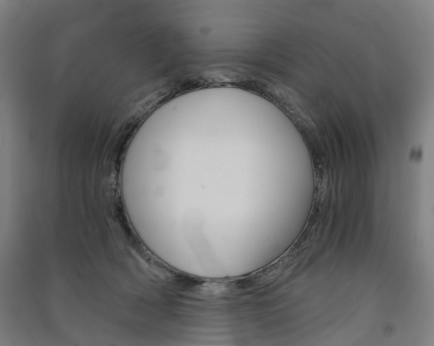X0000091570418200708200955