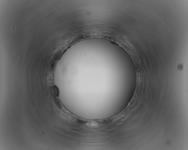 X0000091570419200708200955