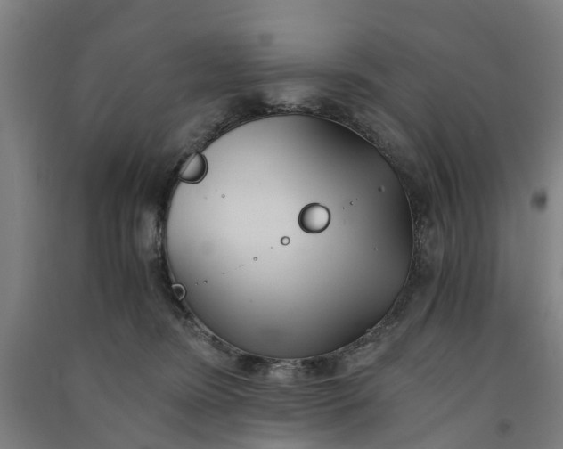 X0000091570420200708200955
