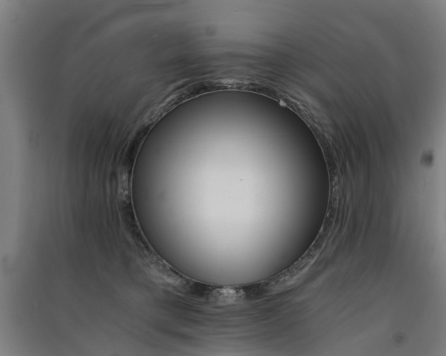 X0000091570421200708200955