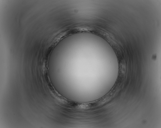 X0000091570422200708200955