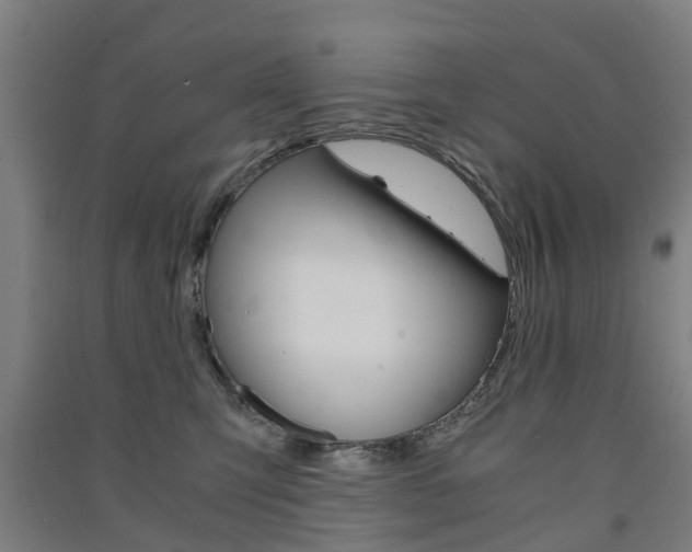 X0000091570423200708200955