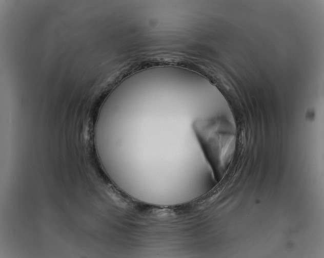 X0000091570424200708200955