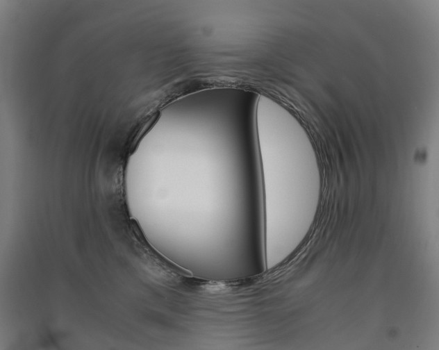 X0000091570425200708200955