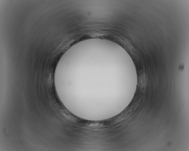 X0000091570426200708200955