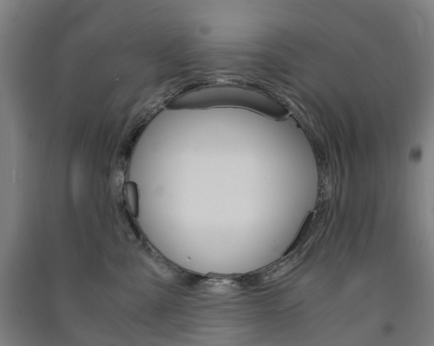 X0000091570427200708200955