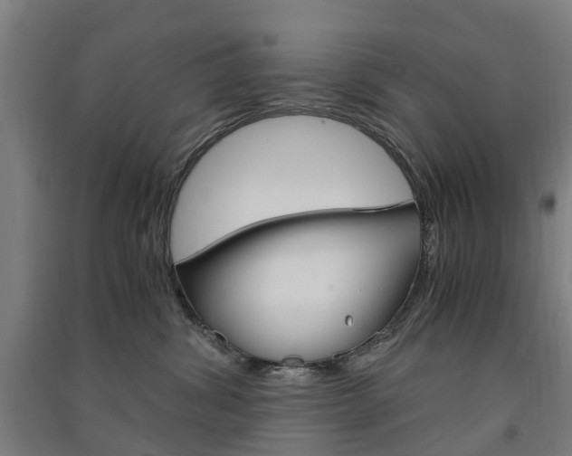 X0000091570428200708200955