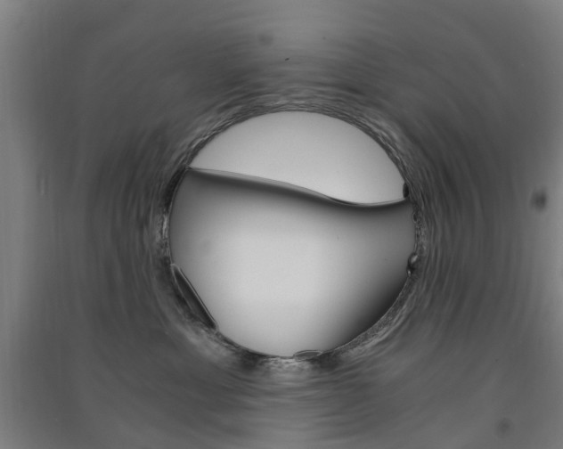 X0000091570429200708200955