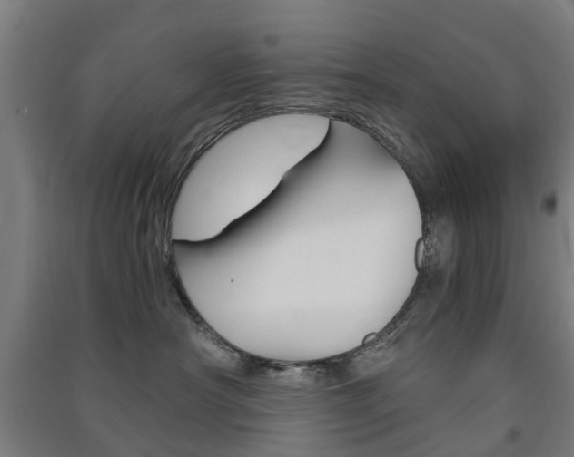 X0000091570430200708200955