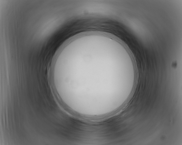 X0000091570431200708200955