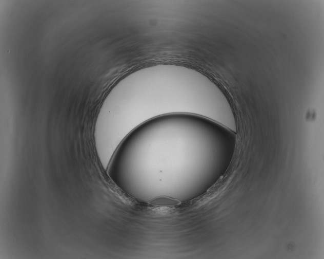 X0000091570432200708200955
