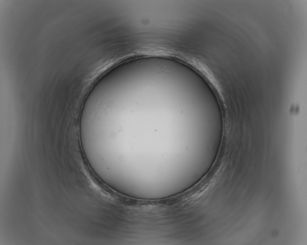 X0000091570433200708200954