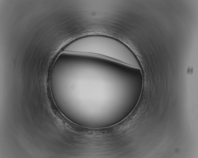 X0000091570434200708200954