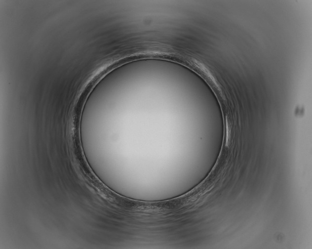 X0000091570435200708200954