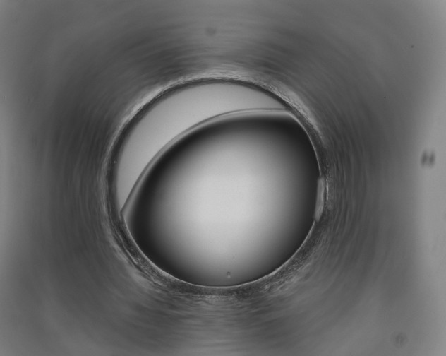 X0000091570436200708200954