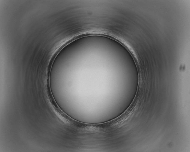 X0000091570437200708200954