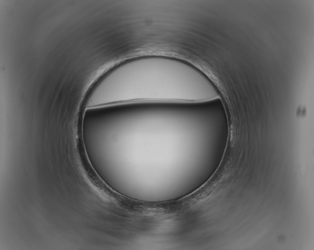 X0000091570438200708200954