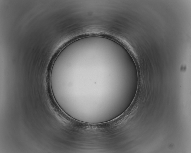 X0000091570439200708200954