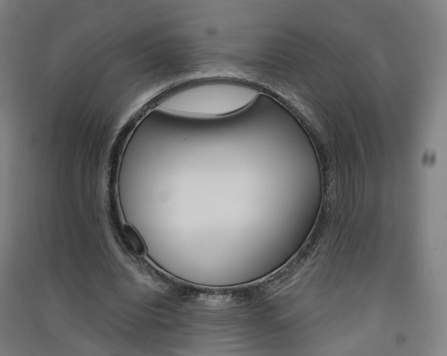 X0000091570440200708200954