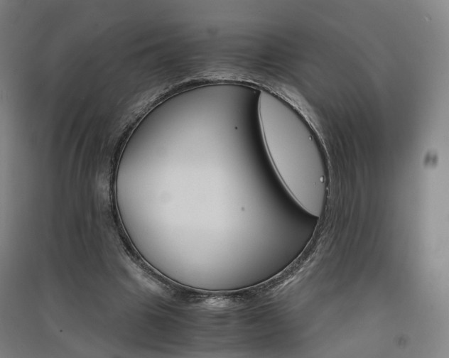 X0000091570441200708200954